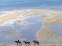 Traumziel Neuseeland